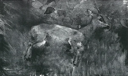 Dead Roe Deer